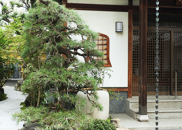 岡山 景福寺